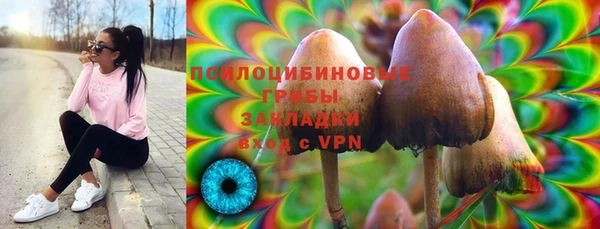 мет Арсеньев